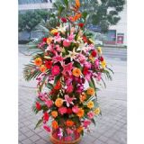 兴庆开业花篮